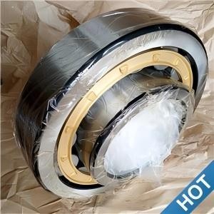 Available NU19/850-M1 Single-Row Cylindrical Roller Bearing best