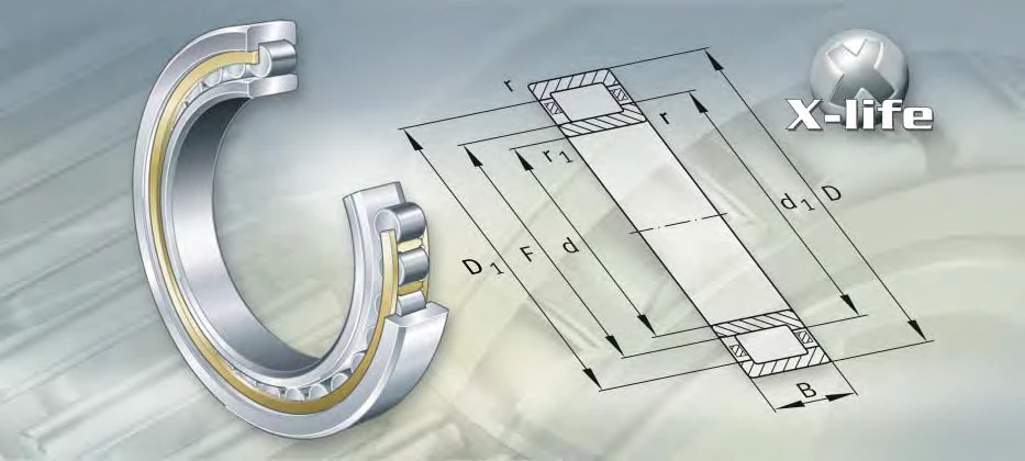 NU3196-M1 bearing drawing NU3196-M1 bearing drawing